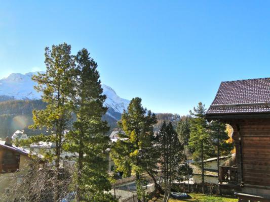 Collina Apartment Celerina/Schlarigna Bagian luar foto